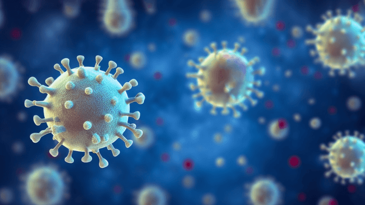 新型冠狀病毒感染