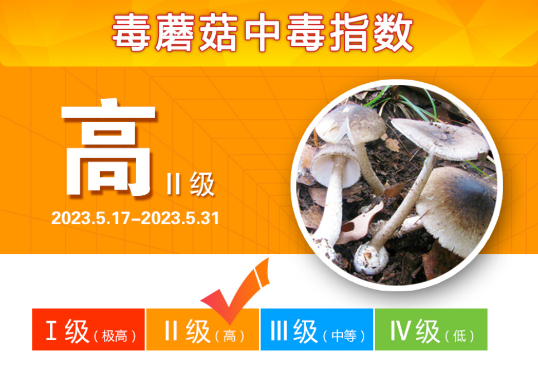 全國率先！湖南省在天氣預(yù)報(bào)發(fā)布野生蘑菇中毒指數(shù)