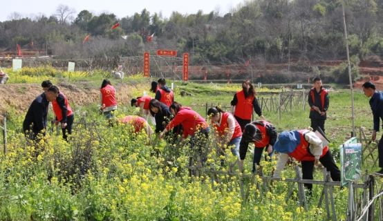 1681197183616.png image.png