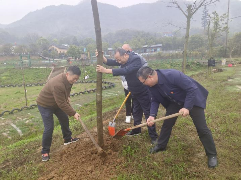 1681198725810.png image.png