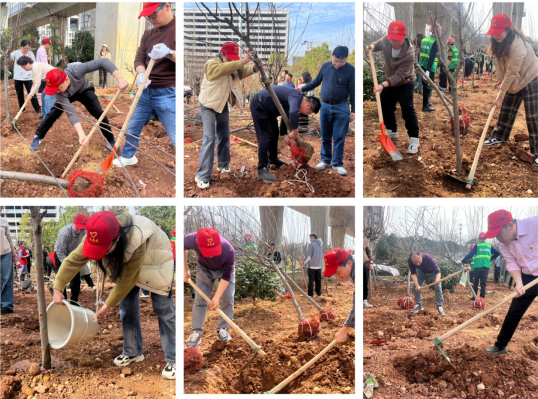 1710296643039.png QQ截圖3.png