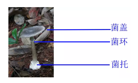 微信圖片_20210729091319.png 微信圖片_20210729091319.png