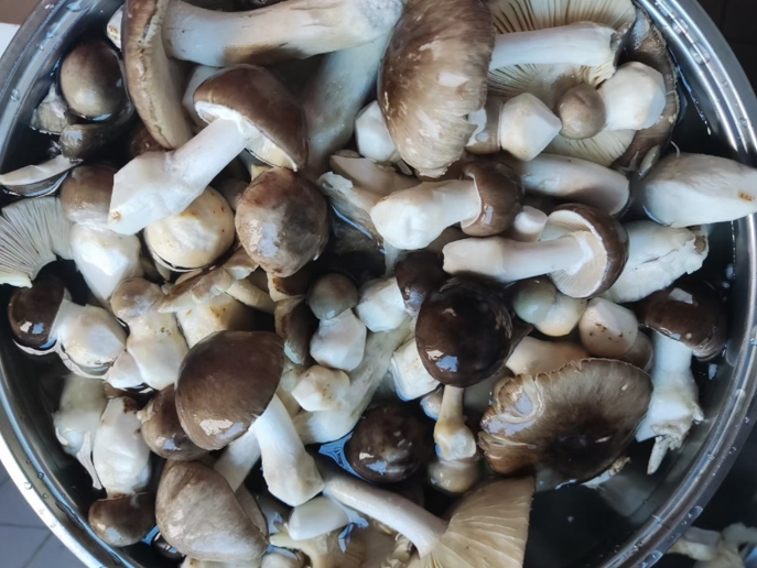 微信圖片_20210825092602.png 微信圖片_20210825092602.png