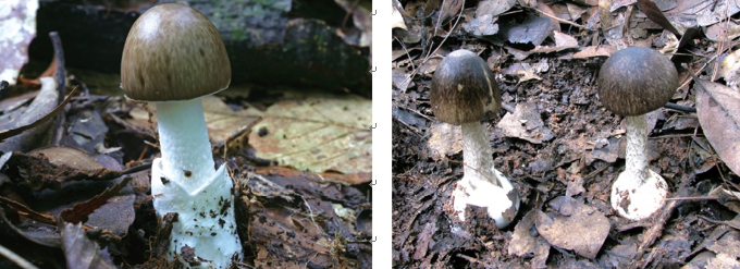 微信圖片_20210825092619.png 微信圖片_20210825092619.png