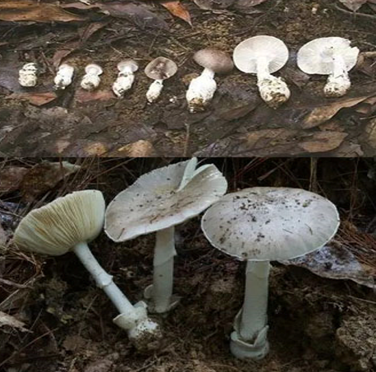 微信圖片_20210825092635.png 微信圖片_20210825092635.png