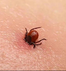 圖片1.png 圖片1.png